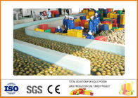Automatic Pineapple Processing Line 10~20 Brix Fixation Content