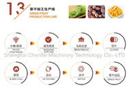 Stainless Steel 304 Dried Fruit Processing Equipment ISO9001 Certification
